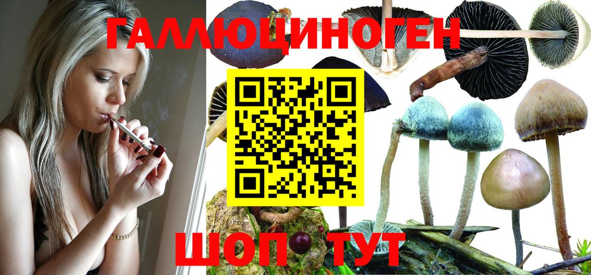 Галлюциногенные грибы Psilocybe  Вход с VPN  Галлюциногенные грибы MAGIC MUSHROOMS  Армавир 