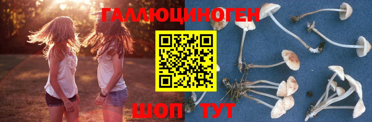 Галлюциногенные грибы мухоморы Армавир